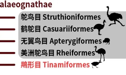 参芪健胃颗粒 药业网 :分享参芪健胃颗粒多少钱一盒-参芪健胃颗粒能治胃炎吗知识