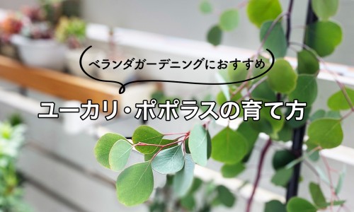 参芪健胃颗粒对萎缩性胃炎有效果吗-参芪健胃颗粒 药业网 :分享参芪健胃颗粒多少钱一盒-参芪健胃颗粒能治胃炎吗知识