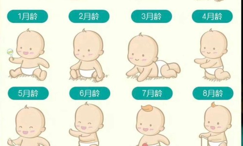 参芪健胃颗粒能治胃炎吗-参芪健胃颗粒 药业网 :分享参芪健胃颗粒多少钱一盒-参芪健胃颗粒能治胃炎吗知识